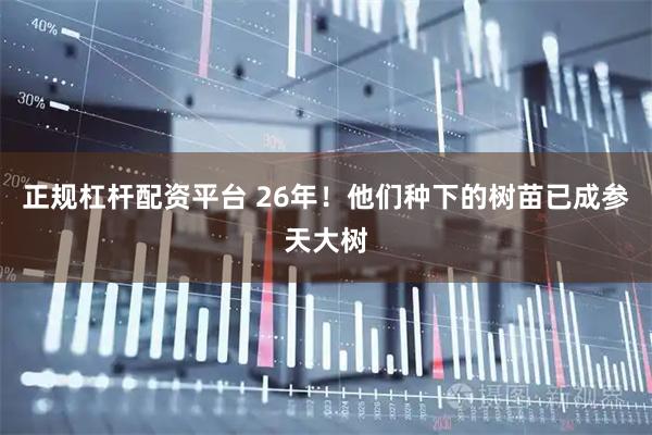 正规杠杆配资平台 26年！他们种下的树苗已成参天大树